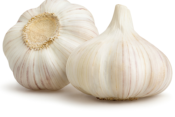 garlic-commodity-page-16983964560VtQC.png