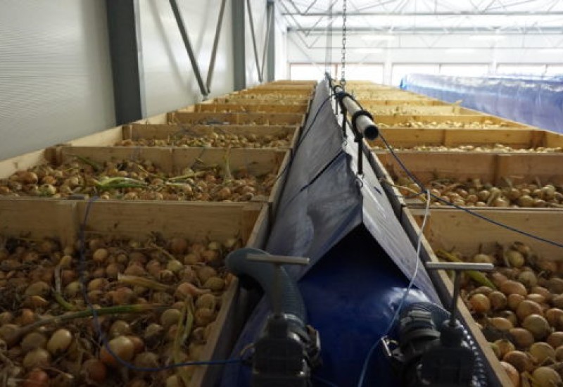 blowing-system-agromacaj-slovakia-2-600x337-1699011372Mlsia.jpg