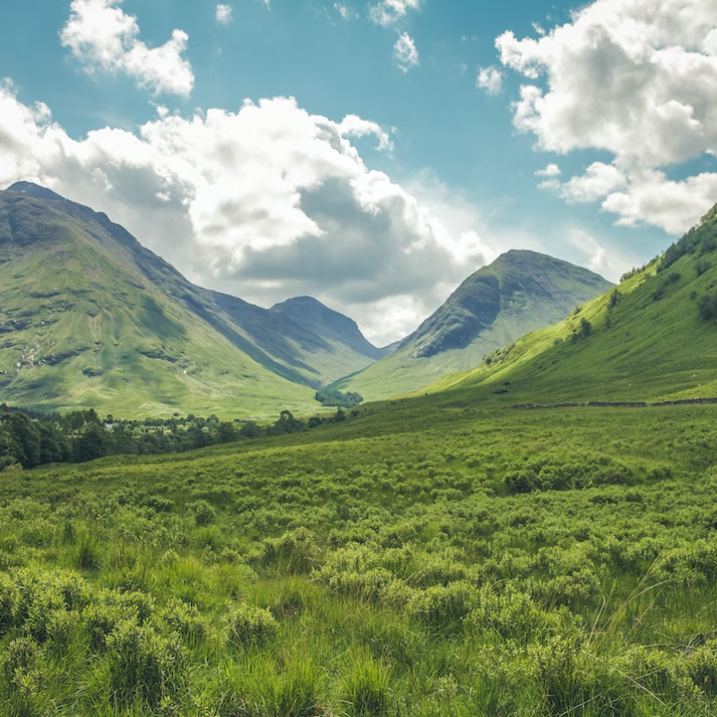 grass-green-mountin-1693400677dIOxd.png