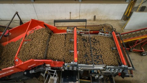 miedema-cleaning-unit-intermediate-belt-and-pre-grading-unit-on-mh-hopper-1699266872DUcdy.jpg
