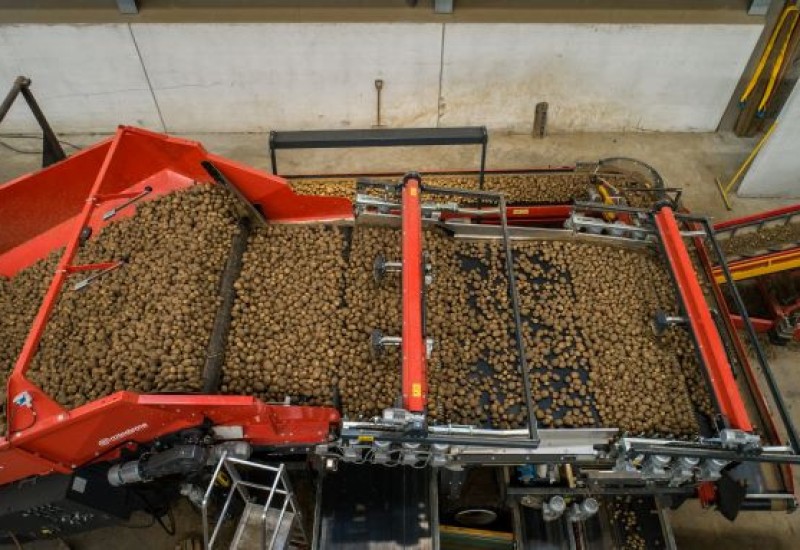 miedema-cleaning-unit-intermediate-belt-and-pre-grading-unit-on-mh-hopper-1699266872DUcdy.jpg