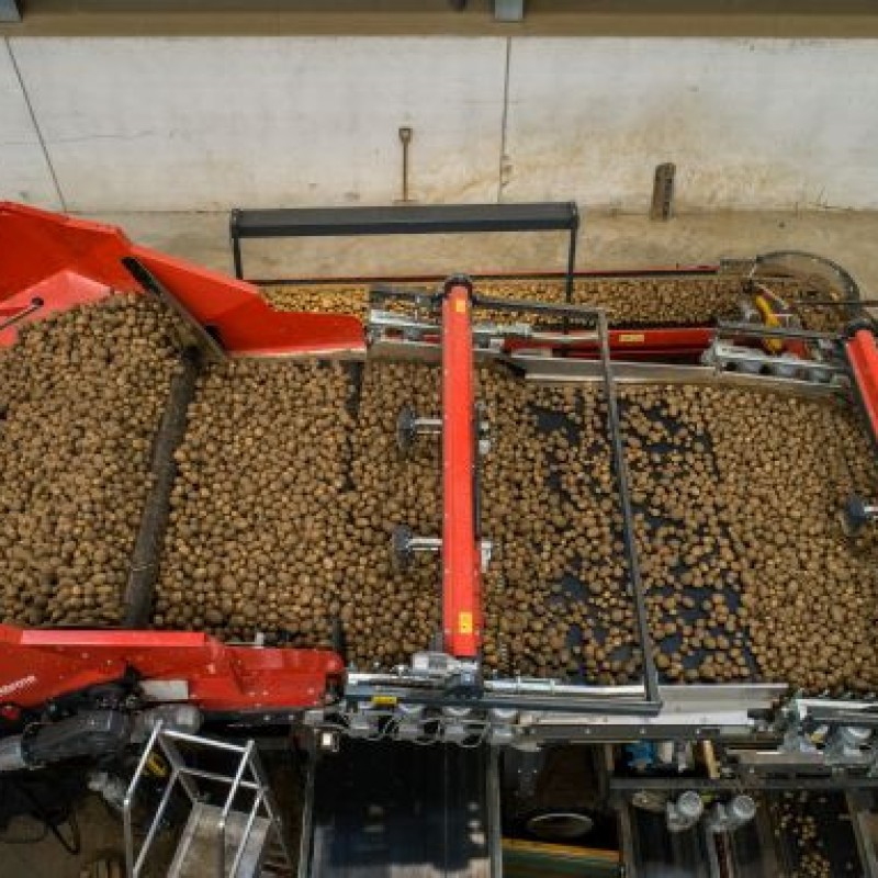 miedema-cleaning-unit-intermediate-belt-and-pre-grading-unit-on-mh-hopper-1699266872DUcdy.jpg
