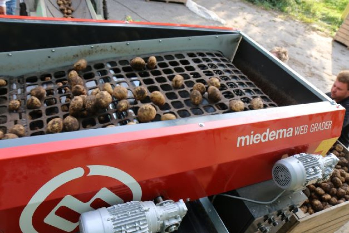 miedema-web-grader-1699269043AFHlr.jpg
