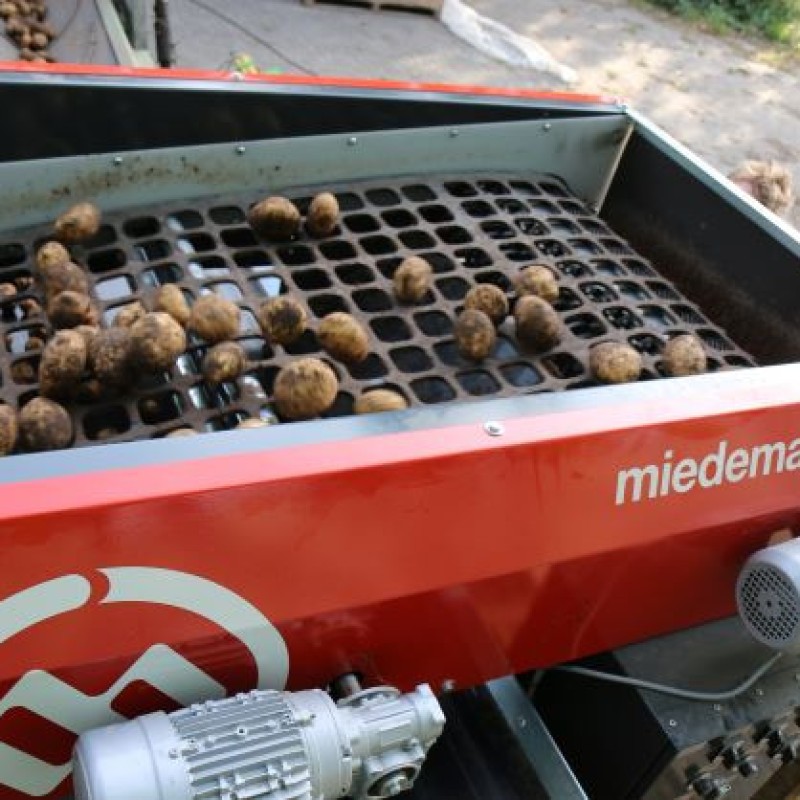 miedema-web-grader-1699269043AFHlr.jpg