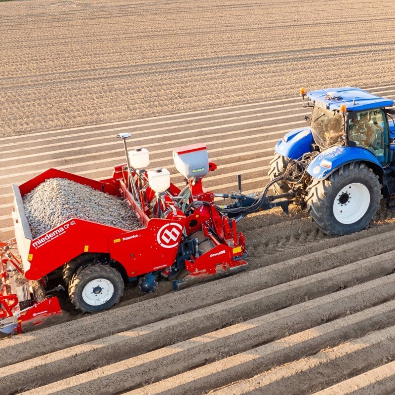Potato cup planter miedema