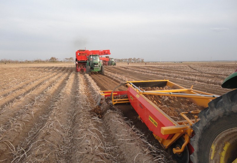 SA22---side-delivery-belt-(22).jpg